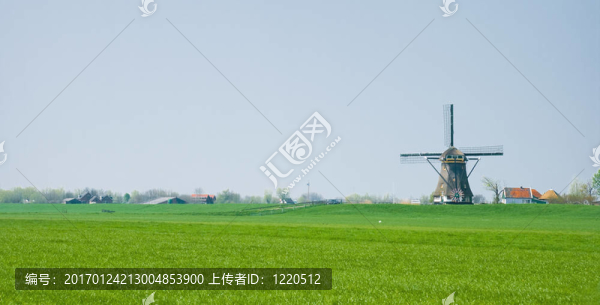 荷蘭圩田景觀與磨