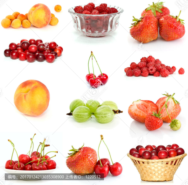 不同漿果的集合