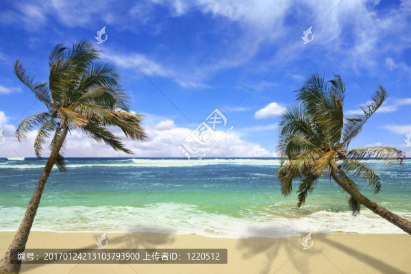 在夏威夷島樂園海灘