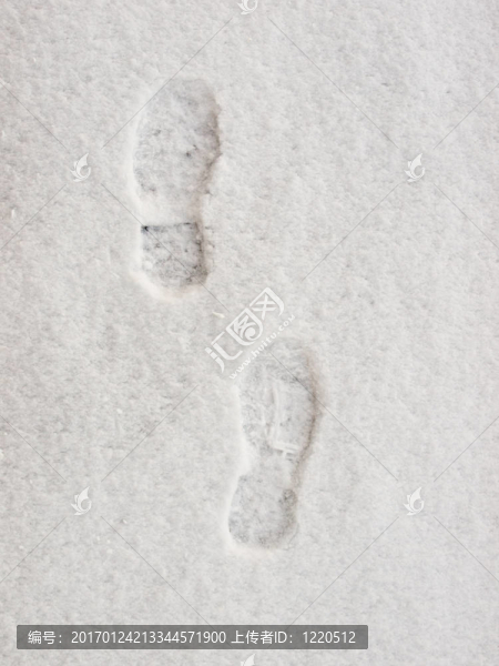 雪地里的人類的腳步
