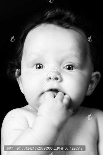 寶貝-匯圖網(wǎng) www.fosd68.com 寶貝