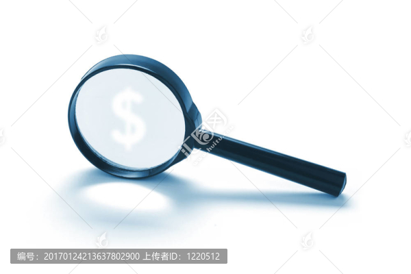 帶有美元符號的放大鏡