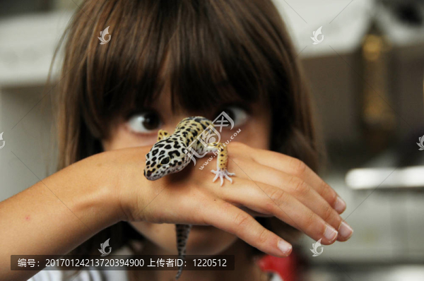 斗雞眼的孩子和壁虎