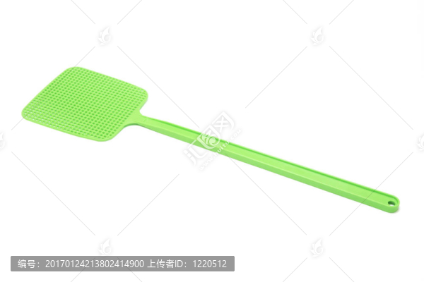 拍蒼蠅