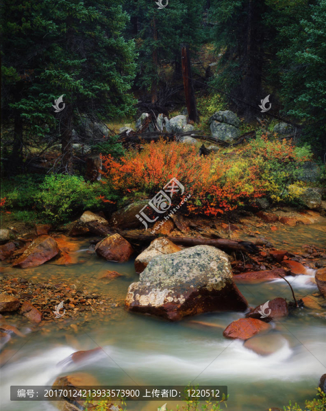 經(jīng)典的夏季雨后科羅拉多山的景色；