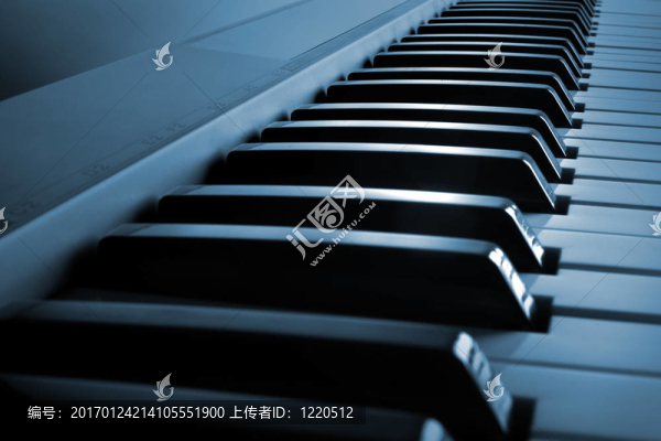 鋼琴鍵盤