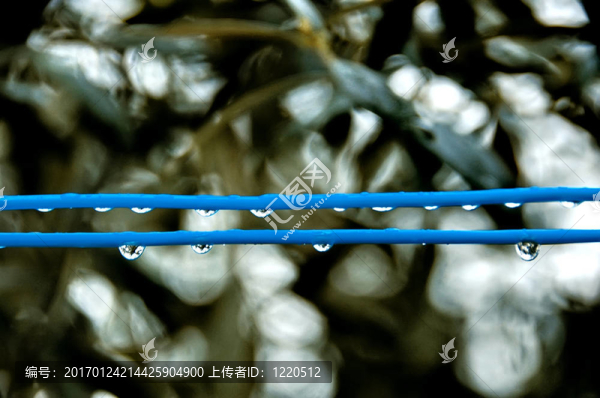 線的雨滴