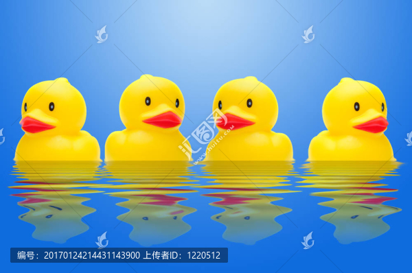 排的鴨子