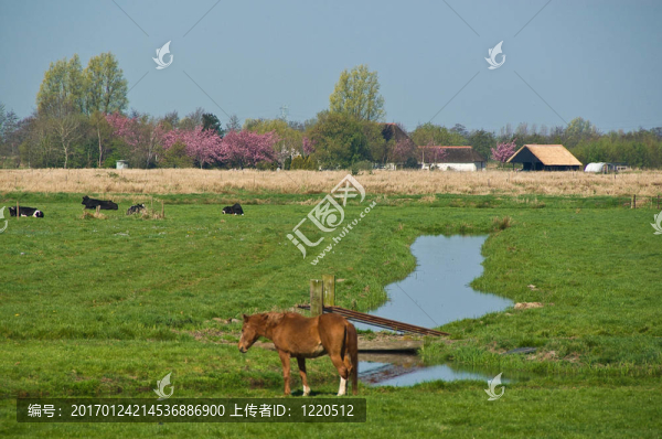 走在荷蘭沿德琳德