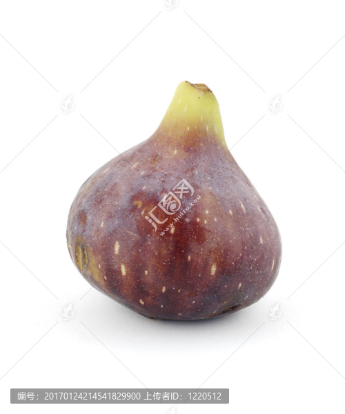 圖