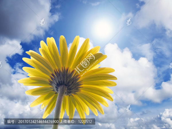太陽(yáng)能發(fā)電
