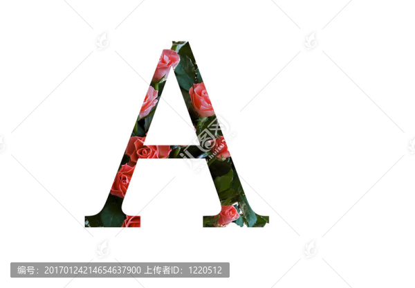 紅玫瑰花