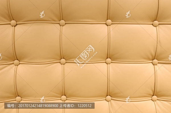 皮革模式按鈕