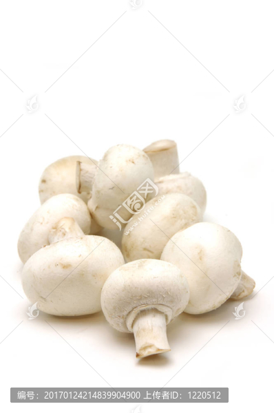 紐扣蘑菇特寫