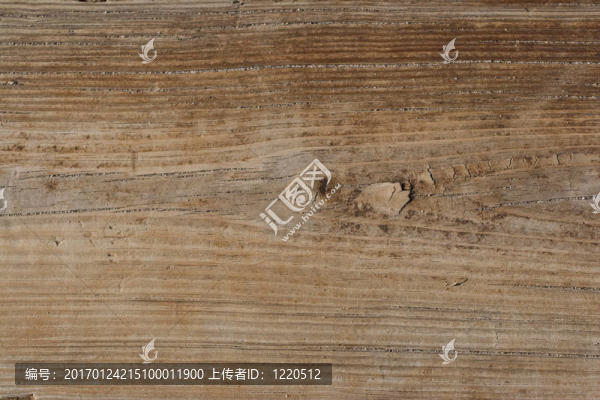 木質(zhì)紋理