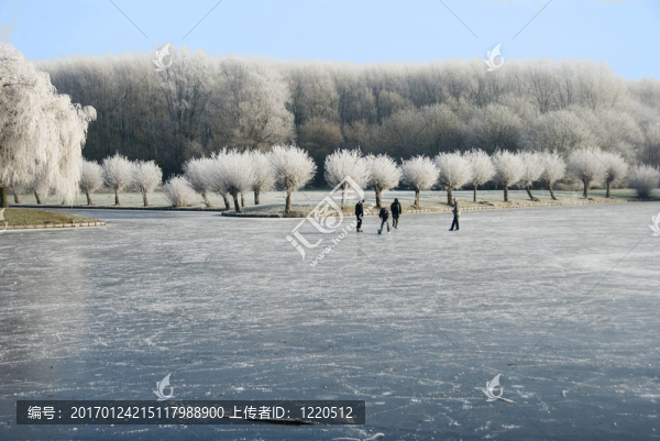 冬季景觀