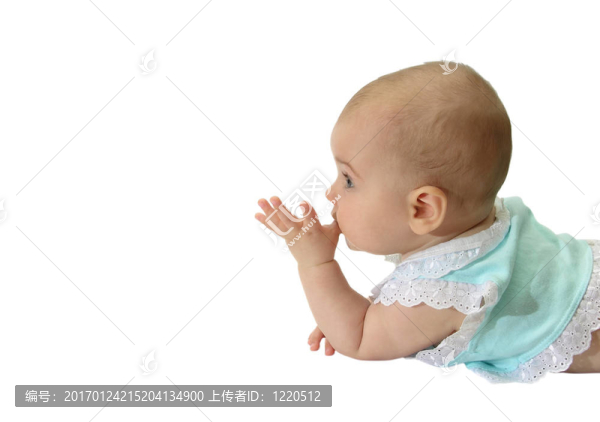 寶貝簡(jiǎn)介-匯圖網(wǎng) www.fosd68.com 寶貝簡(jiǎn)介