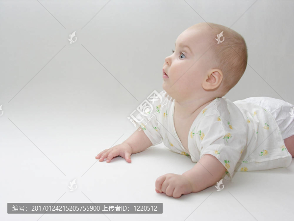 寶貝-匯圖網(wǎng) www.fosd68.com 寶貝