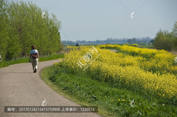 走在荷蘭沿德琳德