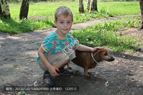 男孩badgerdog