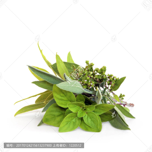 混合香草葉
