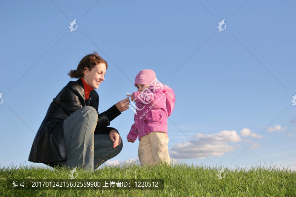 秋天。最后的花朵