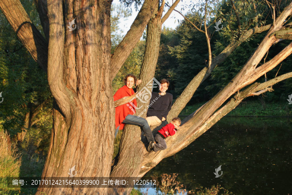 舊代樹(shù)上的家庭