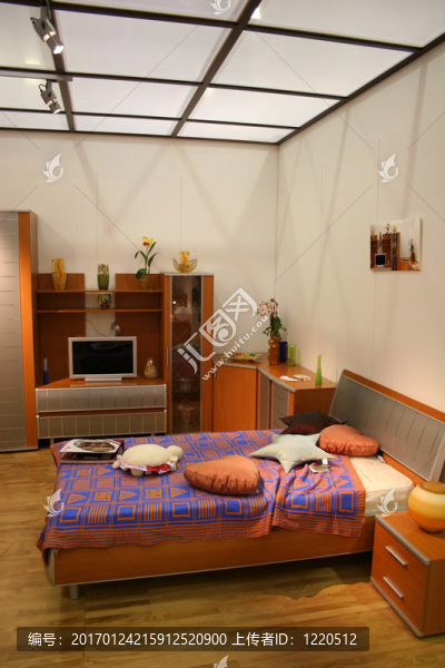 臥室和屋頂