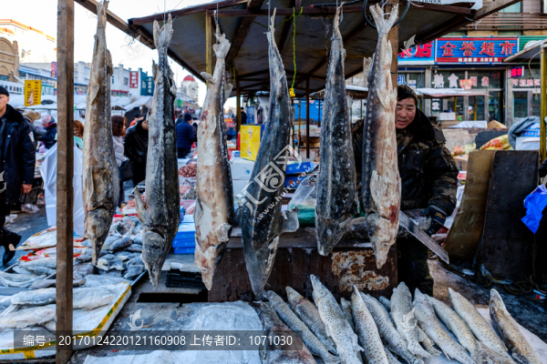 賣凍魚-匯圖網(wǎng) www.fosd68.com 賣凍魚