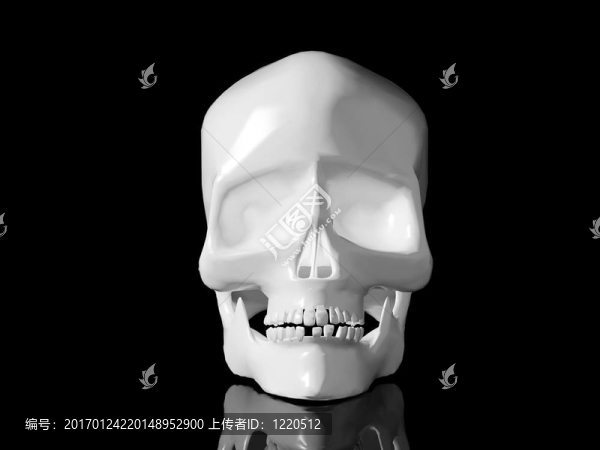 黑色背景上的骷髏-匯圖網(wǎng) www.fosd68.com 黑色背景上的骷髏
