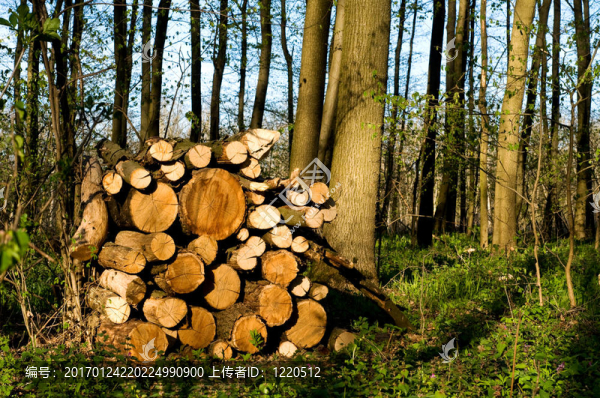 截?cái)嗄静? title=