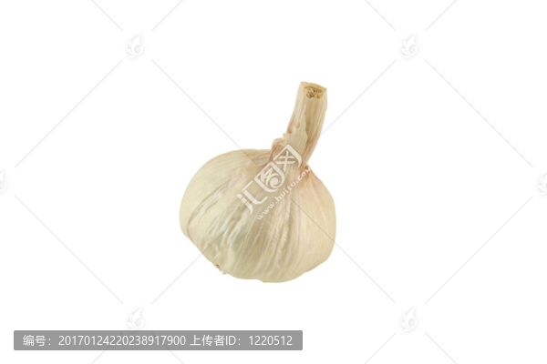 單泡大蒜