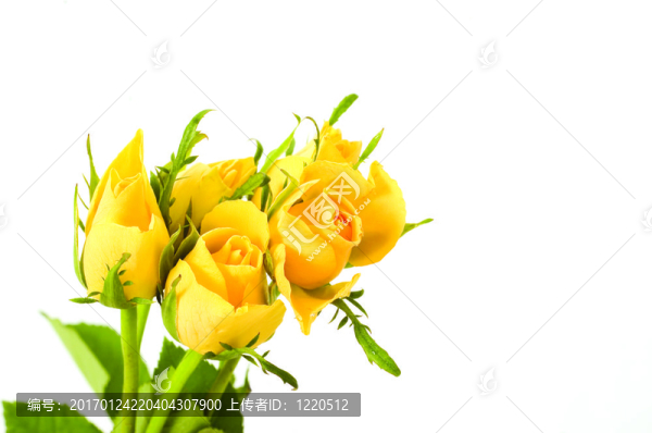 一束花
