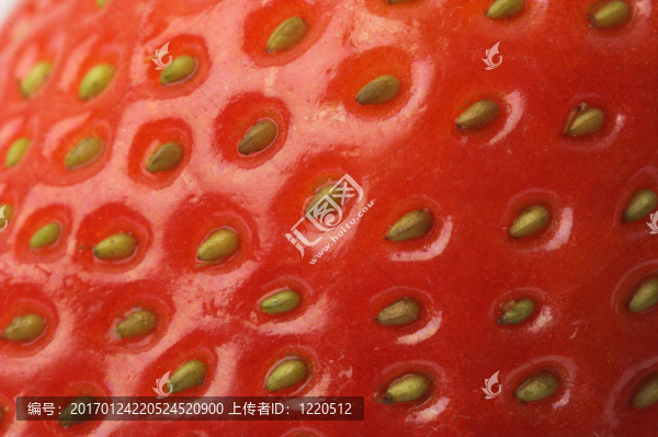 Strawberry的特寫