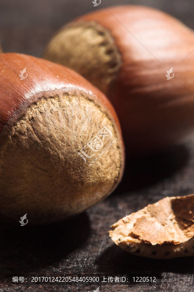 榛子的特寫(xiě)-匯圖網(wǎng) www.fosd68.com 榛子的特寫(xiě)