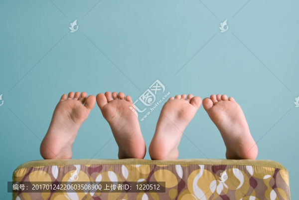 這只小豬