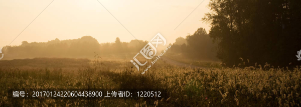 鄉(xiāng)村路的日出
