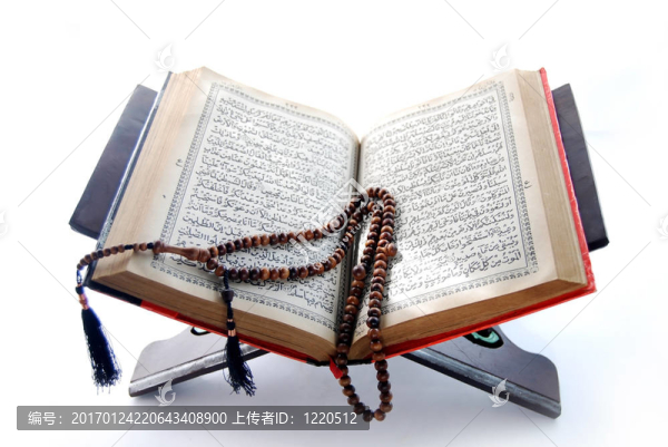 冬青古蘭經(jīng)