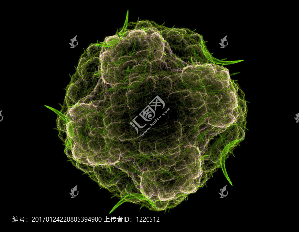 孢子或花粉概念圖