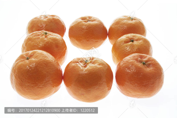 中國新年的官員
