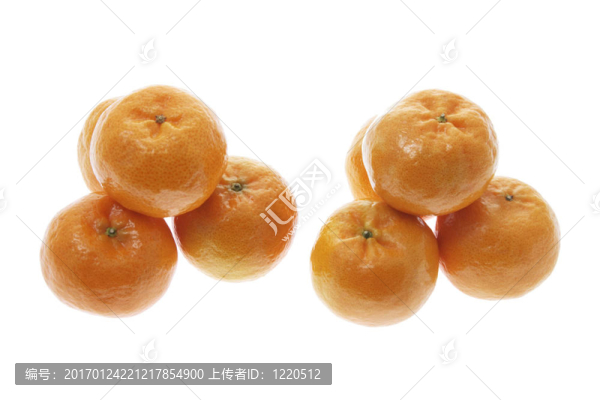 中國(guó)新政府-匯圖網(wǎng) www.fosd68.com 中國(guó)新政府