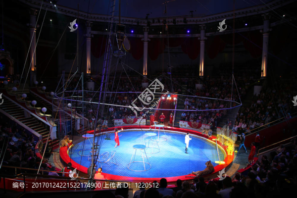 馬戲團(tuán)的老虎-匯圖網(wǎng) www.fosd68.com 馬戲團(tuán)的老虎