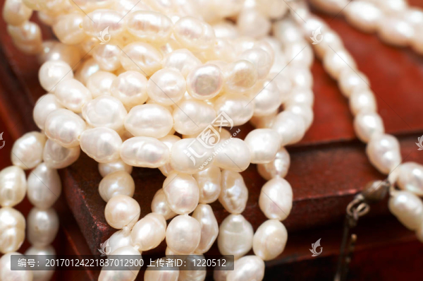 白色真正的河珍珠木箱