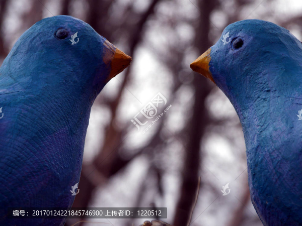 愛(ài)情鳥(niǎo)
