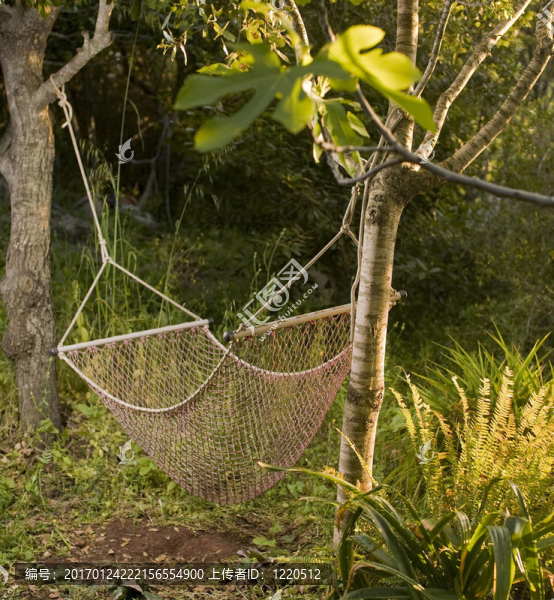 吊床-匯圖網(wǎng) www.fosd68.com 吊床