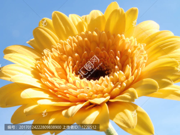 在藍(lán)色天空的太陽