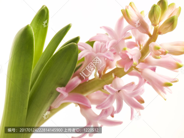 二-匯圖網(wǎng) www.fosd68.com 二