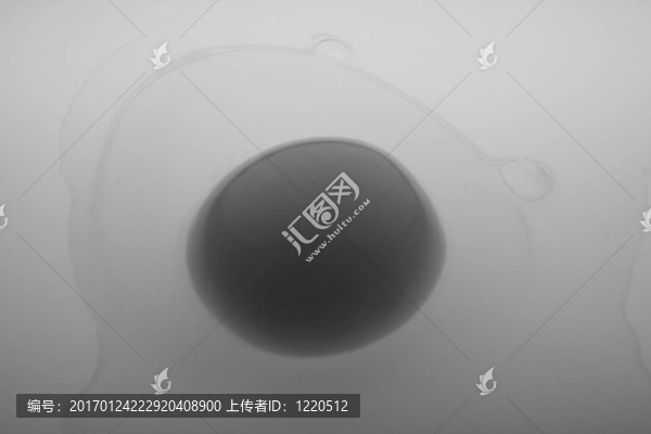 雞蛋-匯圖網(wǎng) www.fosd68.com 雞蛋