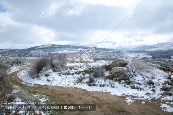 雪村追蹤