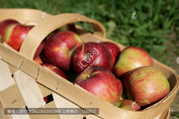 蘋(píng)果的籃子